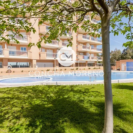 Playa Dorada-cm Apartament